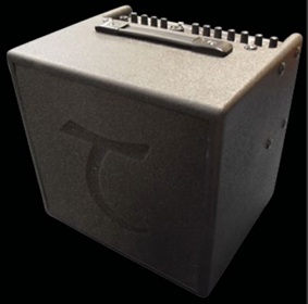 Tanglewood T6 60 Watt Acoustic Combo Guitar Amp A C Hamilton